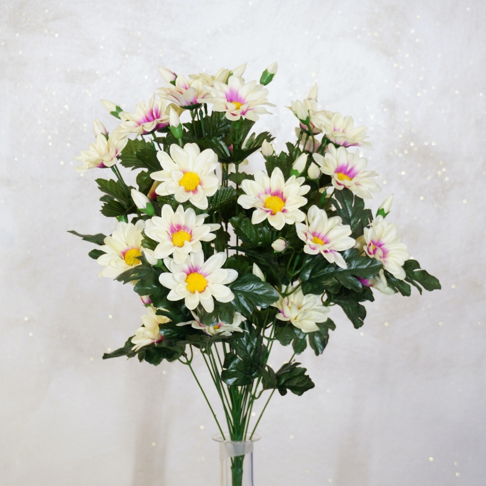 Mazzo rotondo di margherite screziate