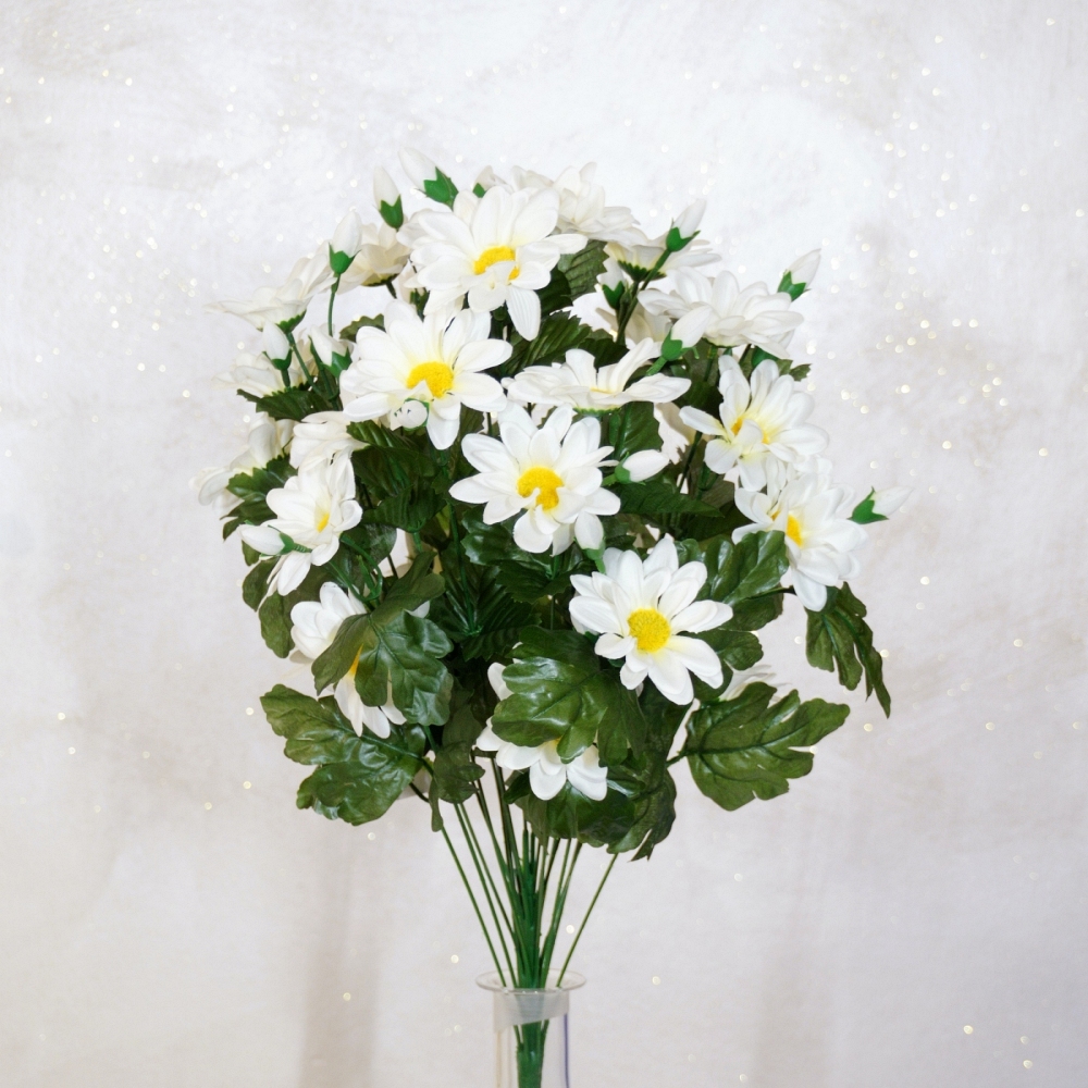 Mazzo rotondo di margherite bianche