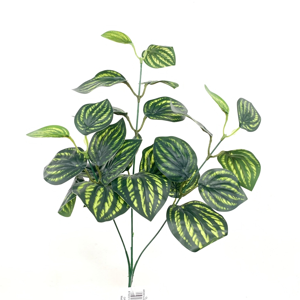 Ramo di Argreya verde