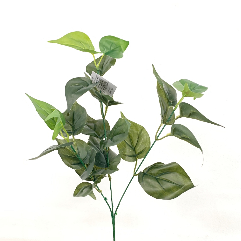 Ramo Philodendro verde