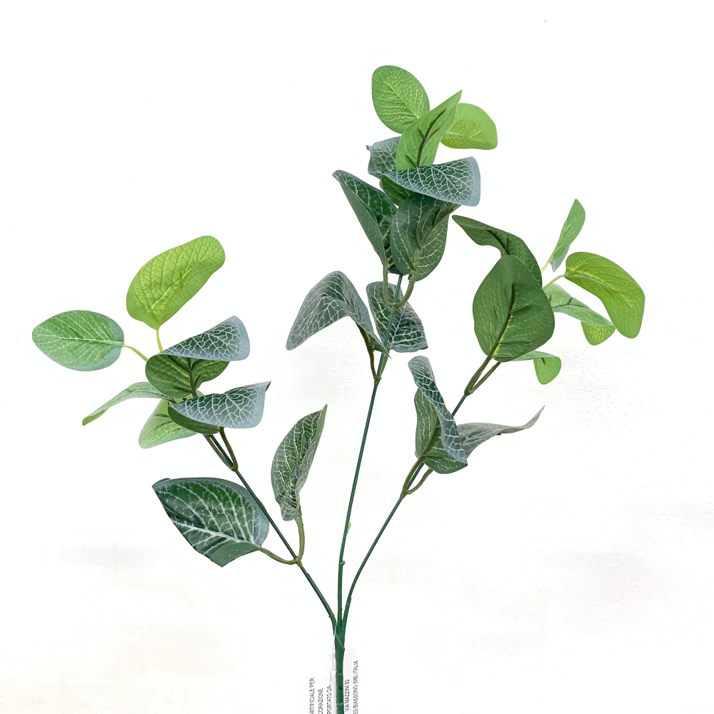 Ramo Silver Fittonia verde