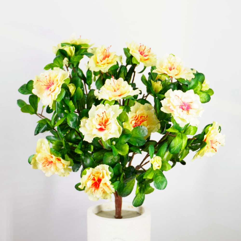 Mazzo di azalea in colore crema