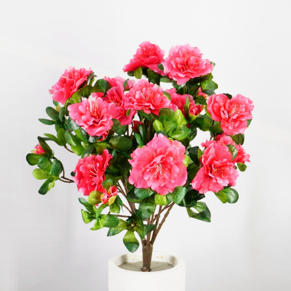 Mazzo di azalea in colore fuxia