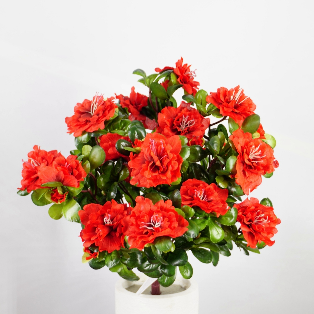 Mazzo di azalea in colore rosso
