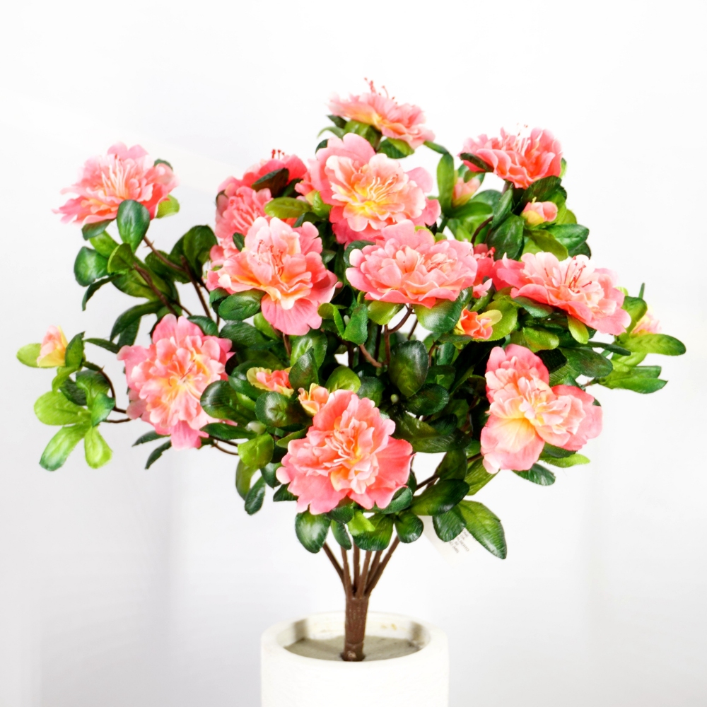 Mazzo di azalea in colore salmone