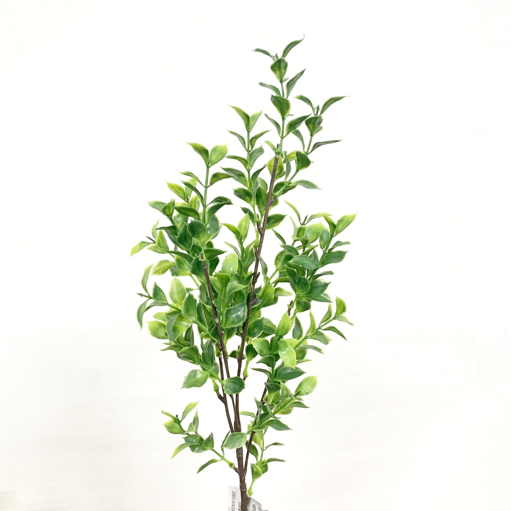 Ramo Ruscus in plastica