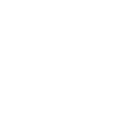 Icona che reindirizza alla pagina dei mazzi di fiori